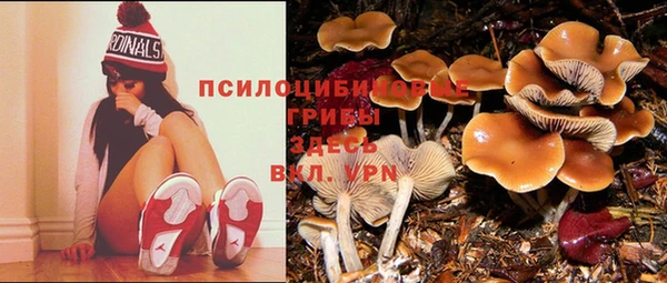 твердый Кинешма