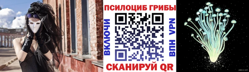 Купить где  Берёзовский  Псилоцибиновые грибы Cubensis 